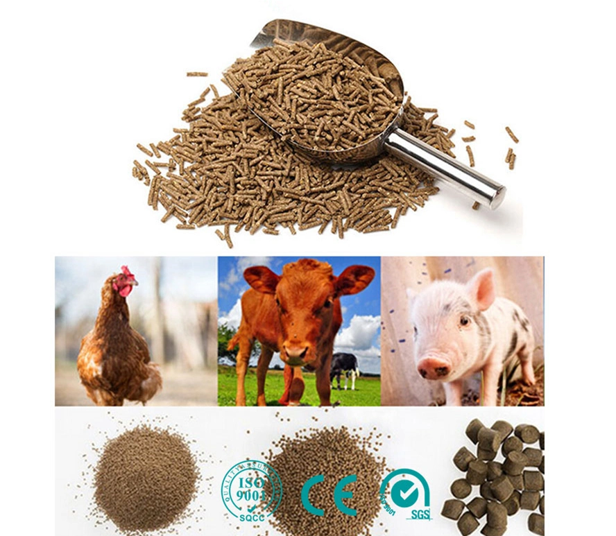 Completely 3-5 Ton Animal Feed Pellet Production Line Poultry Feed Pellet Plant