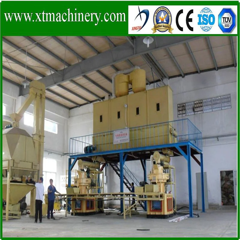 New Energy, Coal Replacement, Wood Pellet Production Line for Biomass