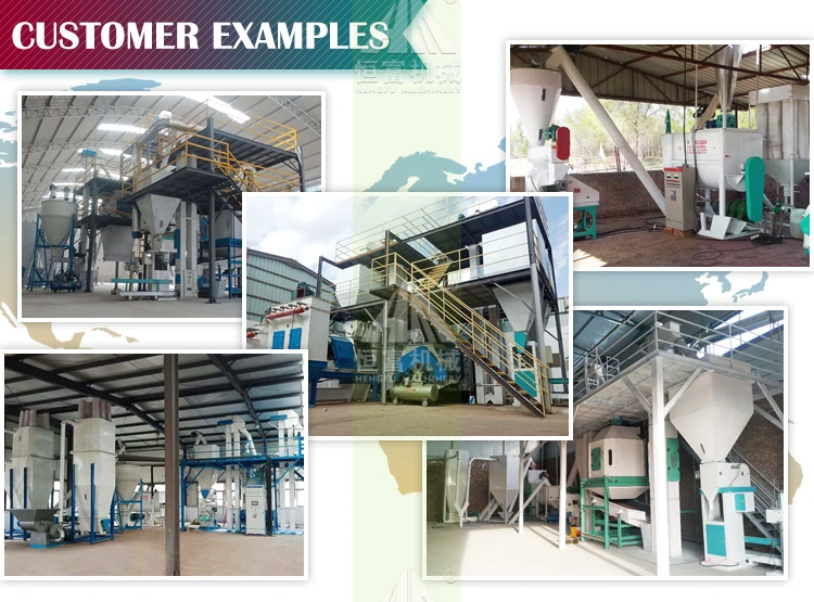 Large Complete Animal Poultry Cattle Feed Pellet Production Equipment Plant